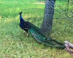 She loves nature and loves to click photographs of the beautiful creature of the god.